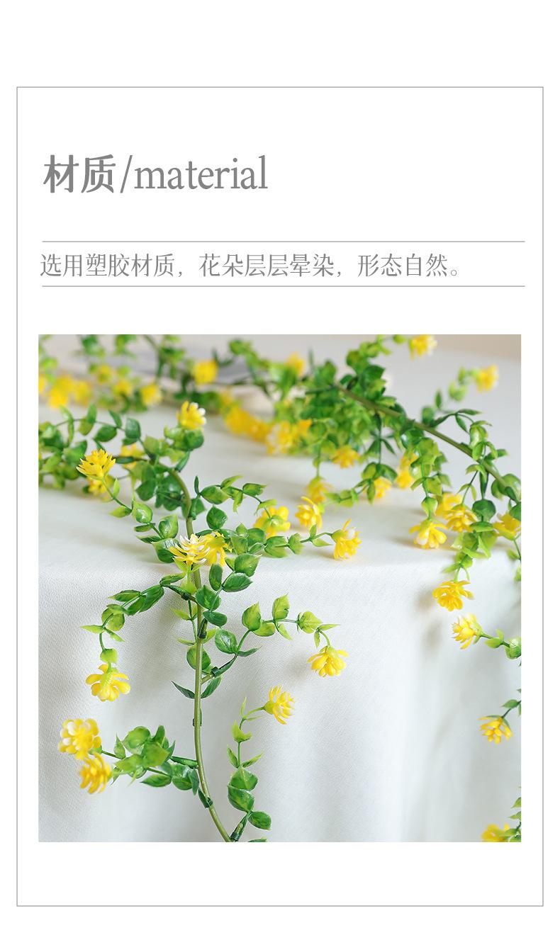 如缕6尺花藤_02.jpg