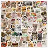 100 Pegatinas de Graffiti de Gatitos de Dibujos Animados Realistas Decoración de Gato Lindo Pegatinas para Coche Cuaderno Taza de Agua Venta al por Mayor