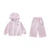 Conjunto de dos piezas de sudadera con capucha y pantalones de pierna ancha para niñas estilo coreano, nuevo conjunto de moda primavera y otoño 2026 para niñas pequeñas