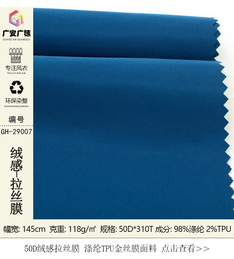 GH-29007合一详情