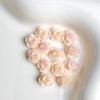 Paquete de materiales para uñas de flores artificiales, joyería para uñas de rosa fuerte luminosa al por mayor