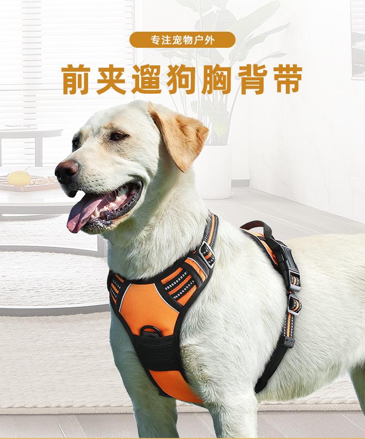 详情---副本_01