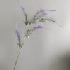 Flor de imitación para plantar cabello, aroma plateado, lavanda, pteris, estilo pastoral nórdico, decoración para bodas, fotografía, utilería en vivo.