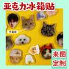 Estrela anime animal de estimação para figura atacado geladeira ímãs diy foto estéreo ímã personalidade criativa acrílico ímã