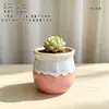 Vaso de Flor Carnuda Cerâmica Jardinagem Cerâmica Mini Novo Criativo Grés Casa Vintage Novo Vaso de Porcelana Vaso