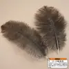Accesorios de ropa de plumas de avestruz de colores materiales de decoración de bodas accesorios de plumas hechos a mano DIY decoración del hogar
