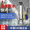 Bomba sumergible de acero inoxidable 304 para uso doméstico, resistente a la corrosión, alto levantamiento, alto flujo, doble propósito para limpieza y drenaje (De la gente)