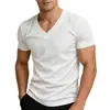 Camiseta Casual Masculina Amazon Leve Luxo Cor Sólida Gola V Manga Curta Top Exportação Europeia e Americana Camiseta Respirável