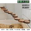 Loro Escalera de Madera de Manzano Ave Plataforma de Madera Sólida Hámster Oso Dorado Escalera para Trepar Mordedor Molar Suministros de Paisajismo