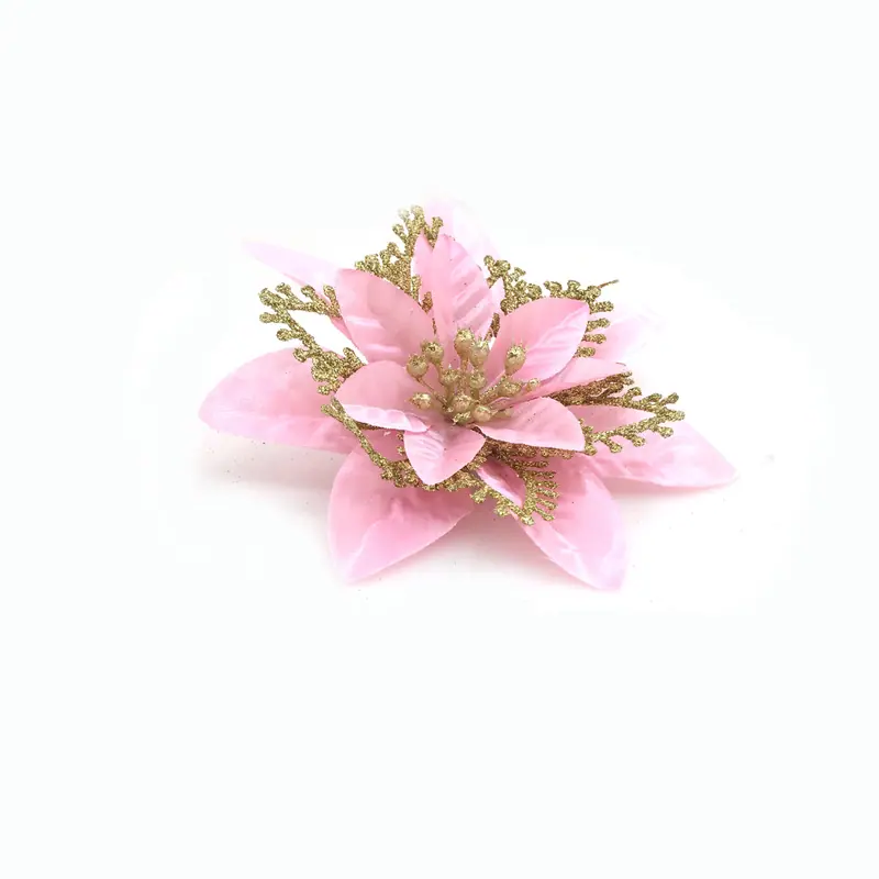 皇冠花粉1.JPG