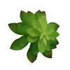 Mini Planta Suculenta Artificial Única Suculenta Falsa Flor Artificial Adorno de Micro Paisaje Oficina Planta Verde Real Artificial Alto