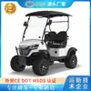 Exportación Transfronteriza de Carritos de Golf de 2 Plazas Guangzhou Langqing desde el Fabricante Original, Carritos Turísticos para Lugares Pintorescos, Carrito de Golf