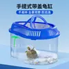 Tanque para Tortugas con Plataforma para Tomar el Sol, Tanque de Plástico para Cría de Tortugas para Uso Doméstico, Caja Portátil Pequeña para Tortugas Mascotas con Tapa, Contenedor de Alimentación
