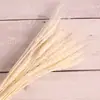 [Pueblo de Zanhua] Trigo Teñido Flor Seca de Yunnan Ramo Oreja de Trigo Decorativa Flor Eterna Flor Real Natural Venta al por Mayor