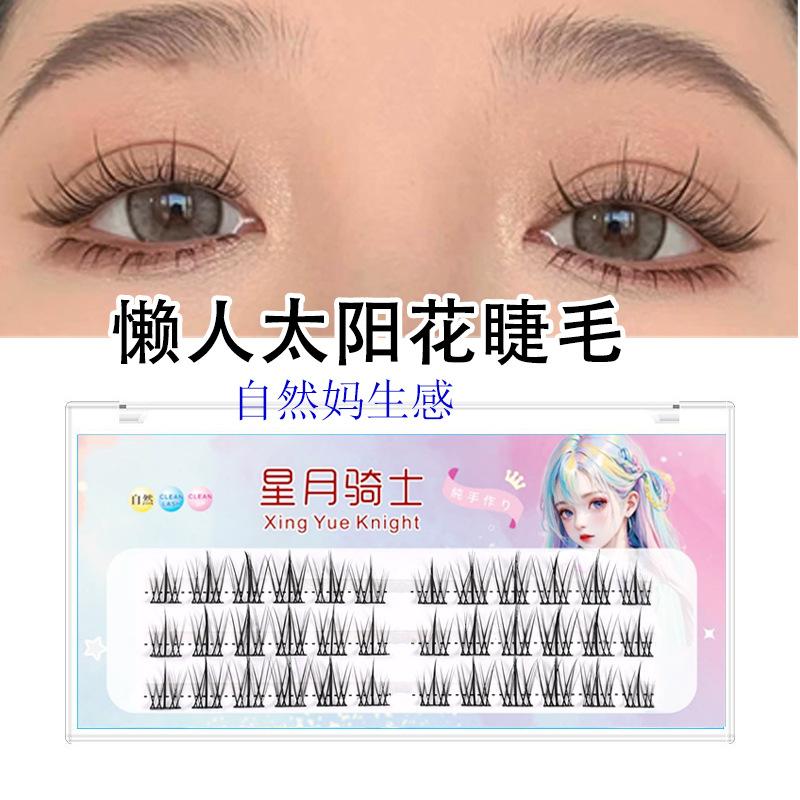 太阳花2