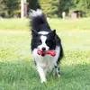 Juguete para Perros Gigwi Hueso con Sonido Juguete para Masticar Limpieza Dental Auto-Entretenimiento Interactivo Resistente a Mordidas y Desgaste para Golden Retriever