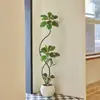 Plantas Verdes de Simulación Lujo Ligero de Gama Alta Árbol de Caucho Rey Negro Ficus Hoja de Flor Adorno de Pie para Interior Sala de Estar Sensación de Gama Alta Árbol Falso