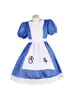 Alice Madness Returns disfraz cosplay Alice traje de sirvienta conjunto real lolita Halloween disfraz de juego