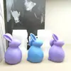 Vela de Coelho Barrigudo de Orelhas Dobradas Molde de Silicone Coelho de Orelhas em Pé DIY Gesso Resina Decoração Atmosfera de Páscoa