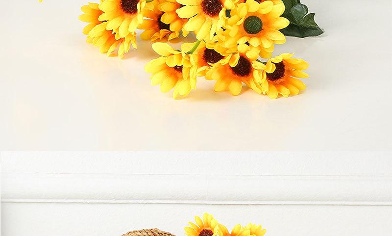 二十四头太阳花_07