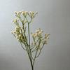 Flores Artificiales, Gipsófila, Plantas Verdes, Ramos de Flores Falsas, Accesorios, Pequeñas Flores de Estrella Decorativas, Pasillo de Boda, Flores Atractivas, Comercio Electrónico Transfronterizo