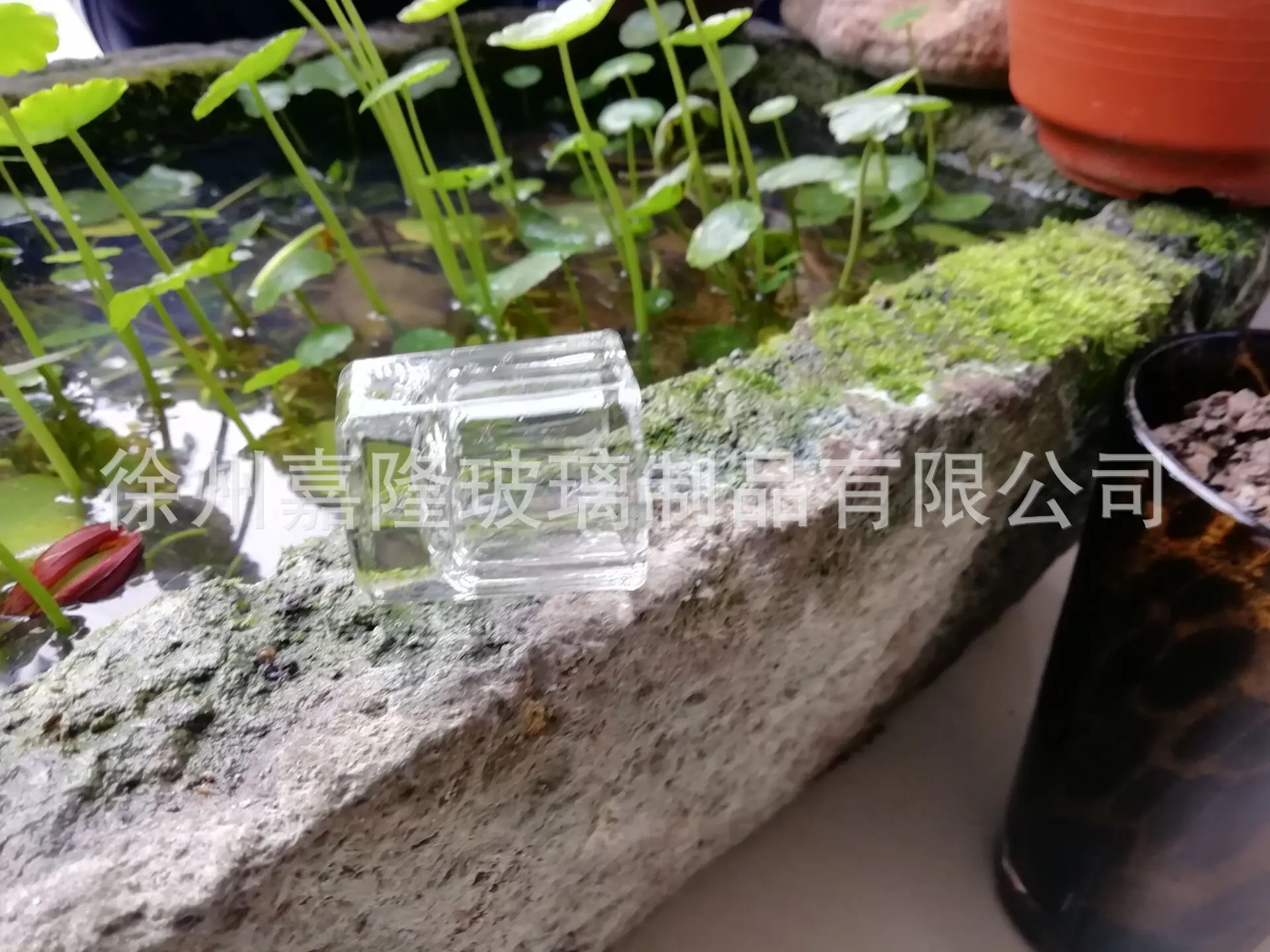 QQ图片20190228092415
