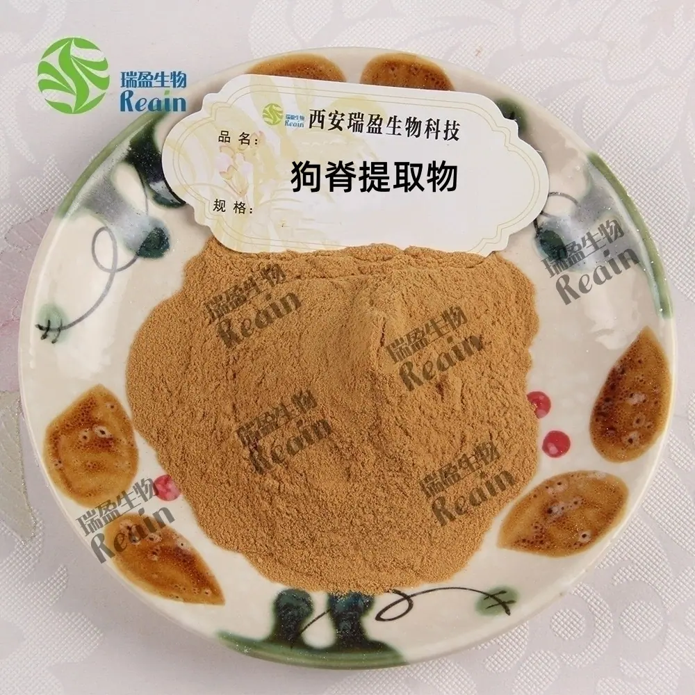 狗脊