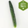 Adereços de educação infantil por atacado, adereços de estúdio para filmagem, enfeites de janela, repolho falso, rabanete, modelo de vegetal falso, simulação de vegetais