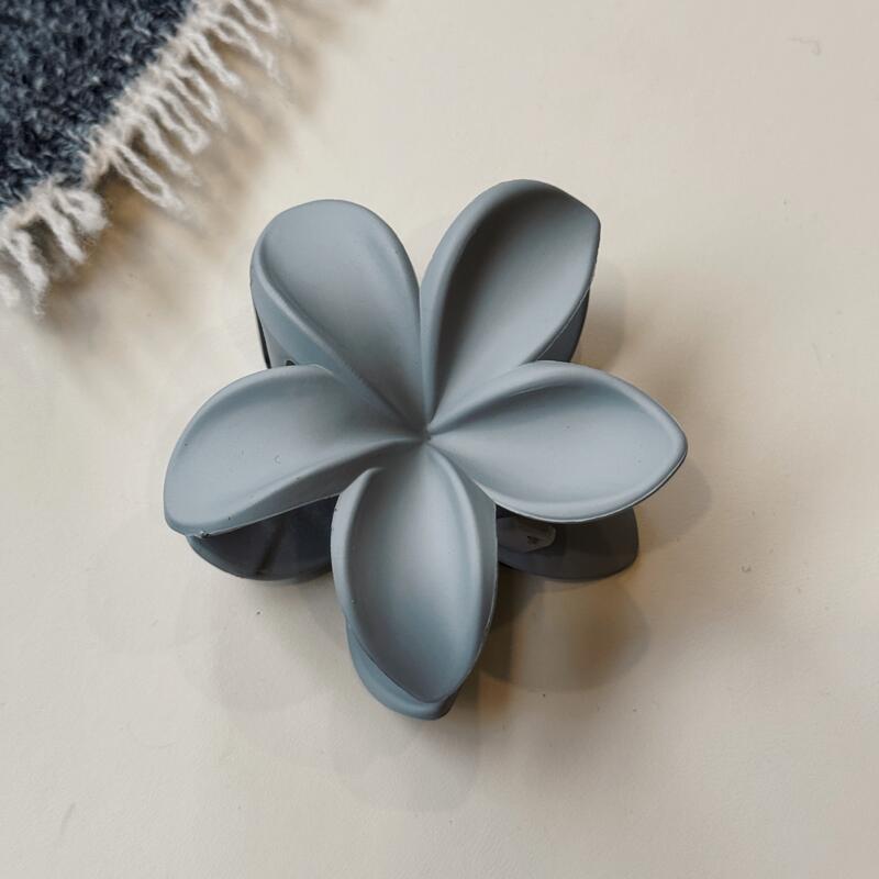 微信图片_20241115153535