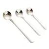 Acero Inoxidable 304 Café Exquisito Tamaño Pequeño Corto Cuchara para Condimentos Cuchara para Postre Cuchara Doméstica para Sal Mini Cuchara Pequeña para Niños