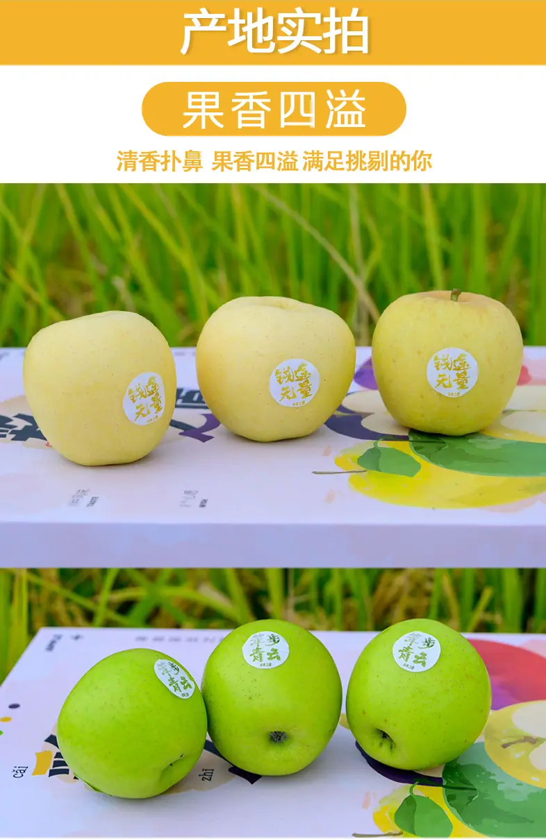 彩苹之愿高原彩色苹果拼装礼盒详情图
