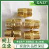 Conector Externo de Fio para Fio 1/2Bspt Fivela Espessada Tailândia 4 Pontos Zg Todo Cobre Cobre Externo Haste de Fio Passante Reto