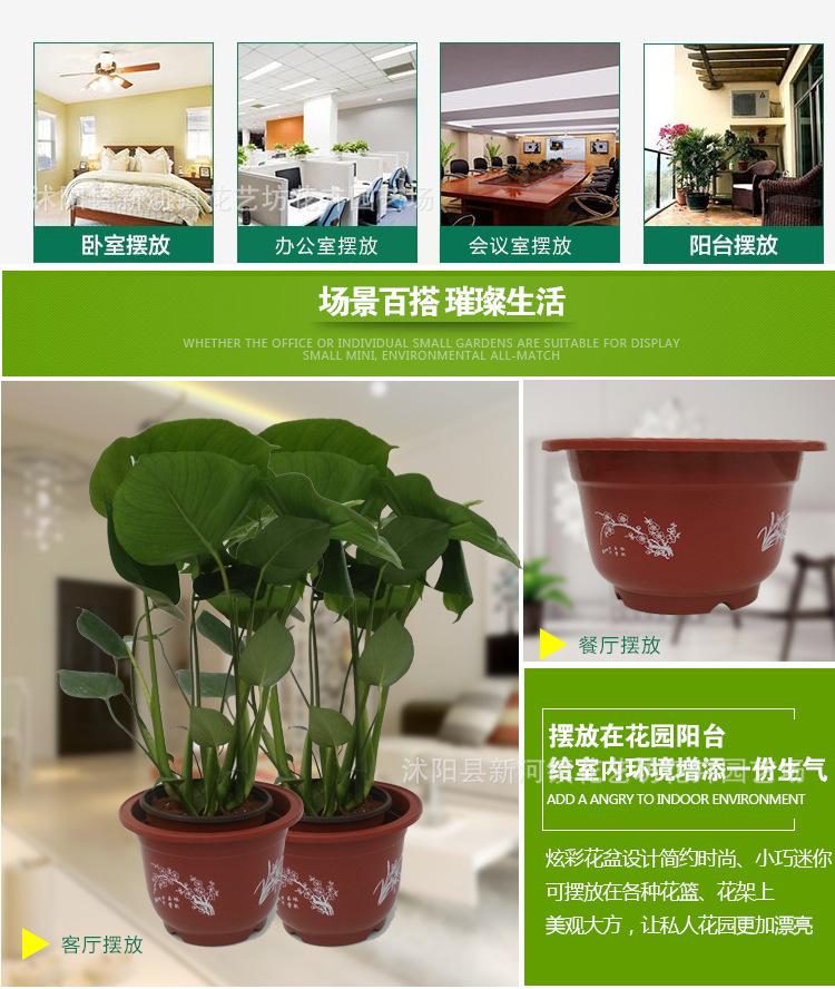 TB2OY._XF95V1Bjy0FlXXaBbXXa_!!