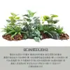 Venta al por mayor spot combinación de plantas verdes artificiales macetero exterior departamento de ventas de calle comercial canaleta para flores decoración de ventana cuadrada