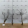 Tocones de Árbol Muerto Ramas Modelo Microscópico Escena Fabricación Suministros para Mascotas Base de Figura Embellecimiento de Fondo Decoración Obstáculo