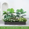 [Serie Y80] Decoración de Partición de Planta Verde Simulada Macetero Maceta Valla Paisajística de Plástico Biónico Diseño