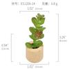Amazon Planta Artificial Suculenta Imán de Corcho Imán de Refrigerador Decoración del Hogar Estilo Pastoral Suculenta Creativa Atracción Magnética