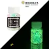 Polvo de Lentejuelas Luminosas con Brillo Transfronterizo 12 Colores Mezclados Polvo de Brillo Fluorescente Pegamento Flujo de Cáñamo DIY Lentejuelas Luminosas para Uñas