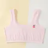 Camiseta interior de verano para niñas en etapa de desarrollo, estudiantes de primaria y secundaria, sujetador anti-golpes de segunda etapa para niños, malla transpirable, transfronterizo