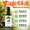 Solución nutritiva especial para Podocarpus, solución de goteo intravenoso para mejorar la tizón foliar, hojas amarillentas, pinos, pinos negros, pinos de bienvenida, fertilizante especial