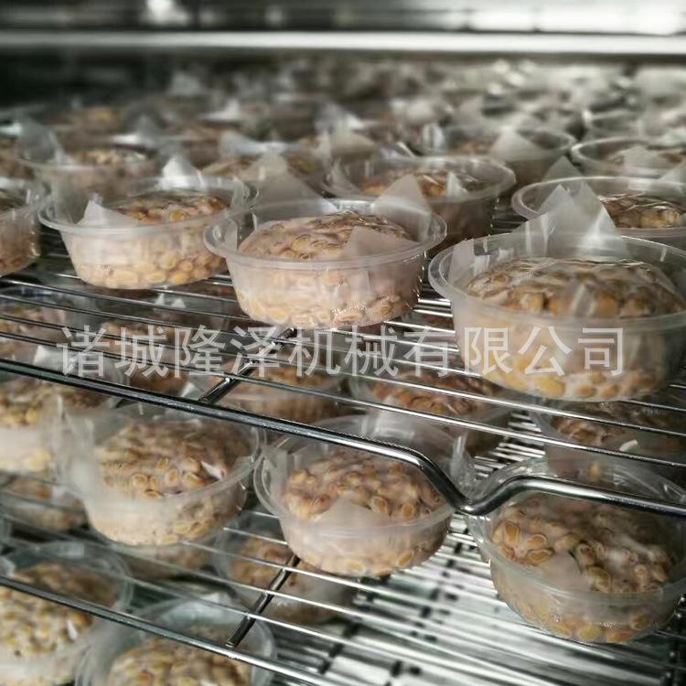 黄豆煮锅 纳豆生产线设备