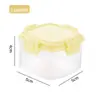 Quatro Conjuntos de Caixas de Temperos, Frascos Transparentes para Molho Squeeze, Frascos para Condimentos, Potes Dispensadores de Temperos para Cozinha, Frascos Squeeze para Molho