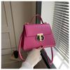Bolso de Diseño Nicho Bolso de Mujer Moda Popular Nuevo Elegante Cierre Hombro Bandolera Color Sólido TEXTURA Bolso Cuadrado Pequeño