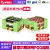 Suministro Directo de Fábrica Caja de Exhibición de Papel PDQ Tamaño Estándar para Supermercados Internacionales Cartón de Exhibición Estante para Frutas y Verduras PDQ