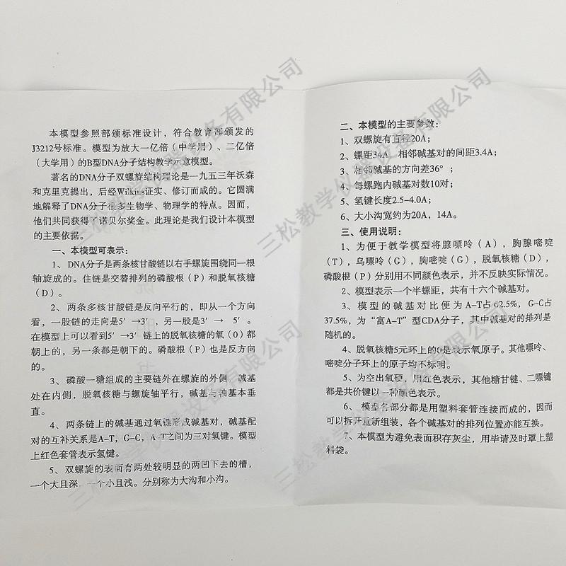 DNA结构模型说明书_副本