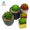Comercio Exterior Protección Ambiental Transfronteriza Simulación Plantas Suculentas Flores Artificiales Falsas Plantas Verdes de Plástico Decoración del Hogar Adornos de Escritorio
