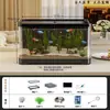Aquário de acrílico de pressão negativa, aquário de peixe betta para mesa, aquário de suspensão a vácuo para peixes ornamentais na sala de estar, pingente decorativo.