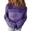 Suéter de Mujer 2026 de Gama Alta para Primavera y Otoño Cubierta de Ganchillo Camisa Calada de Manga Larga con Cuello Redondo Top Corto para Mujer
