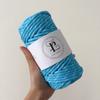 Paracord 5mm Colorido Punteado Núcleo de Poliéster Trenzado Redondo Resistente al Desgaste Cuerda Miu Accesorio Trenzado DIY Correa de Ropa Cuerda para Sombrero