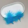 Pluma de Pavo Terciopelo Vascular Palo Juguete para Gato Teaser Hecho a Mano DIY Pasador Material Atrapasueños Juguete Manualidades en Stock Artículos Más Vendidos
